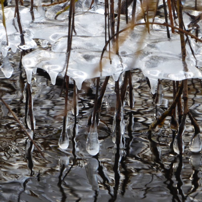Vastgevroren boven water