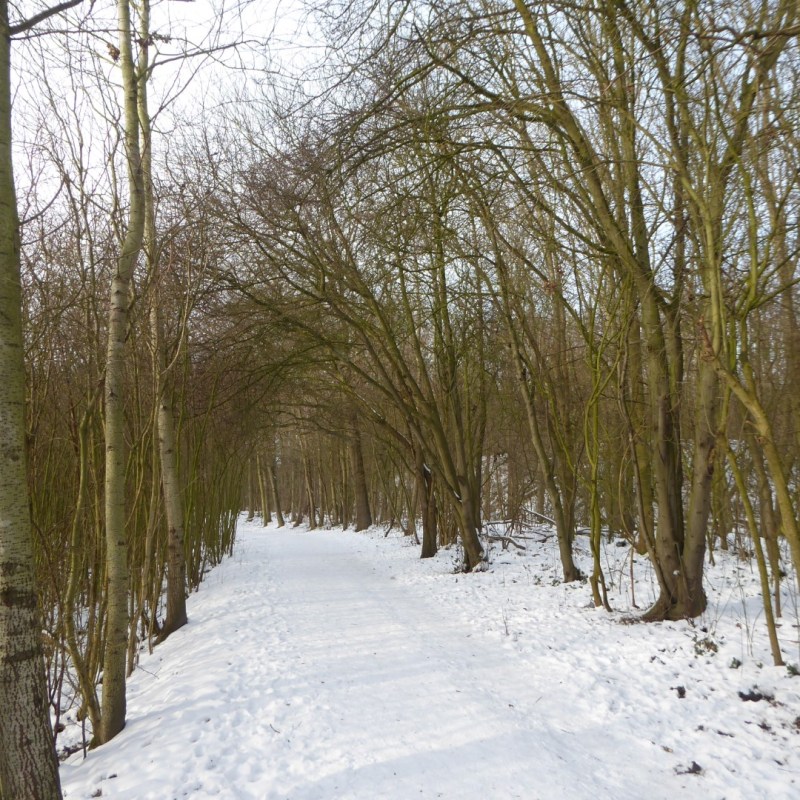 Sneeuwpaden