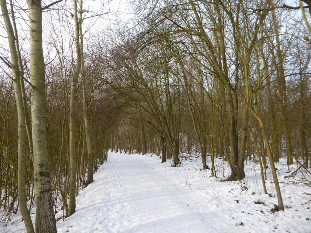 Sneeuwpaden
