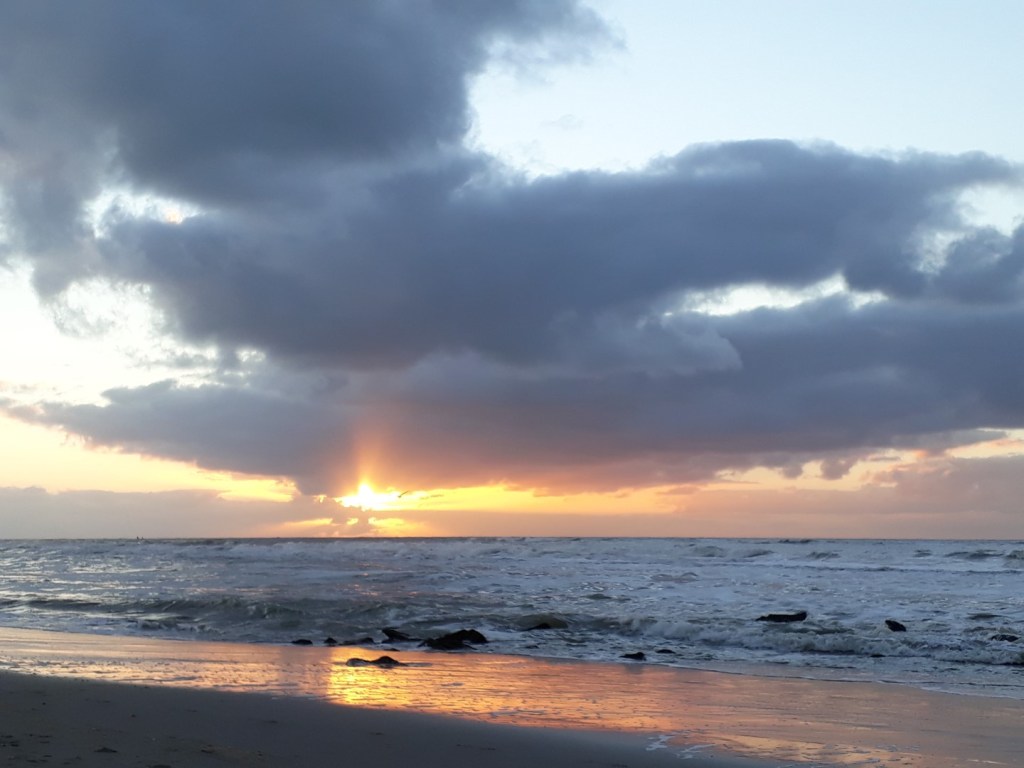 Meeuwen in de ondergaande&nbsp;zon