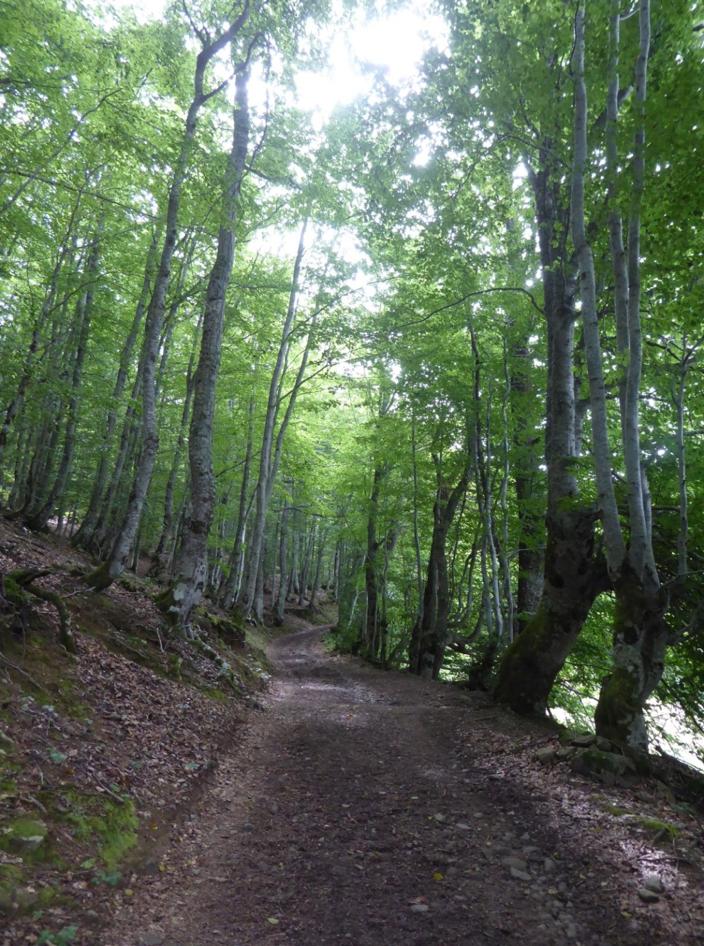 Soto de Sajambre naar Vegabaño