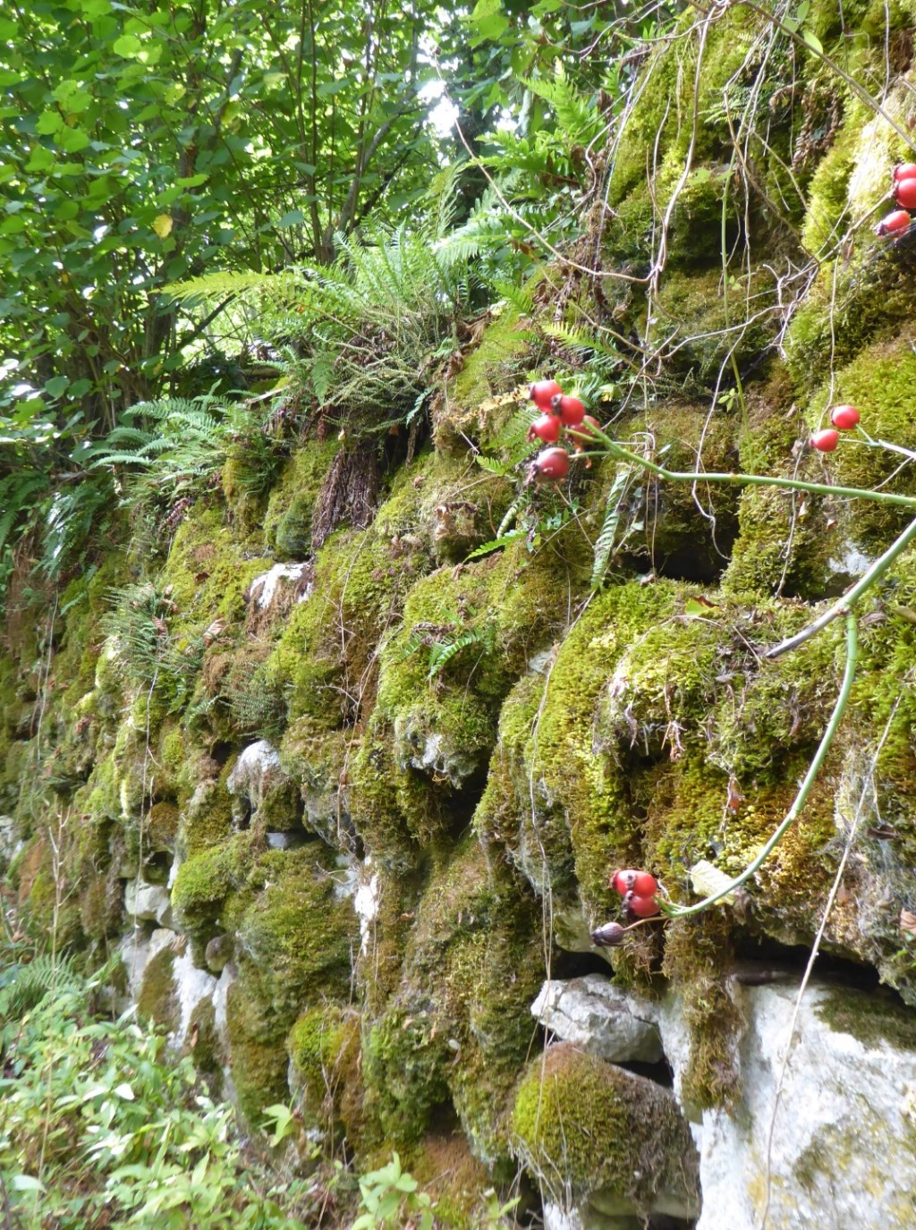 Pola de Somiedo naar Gua