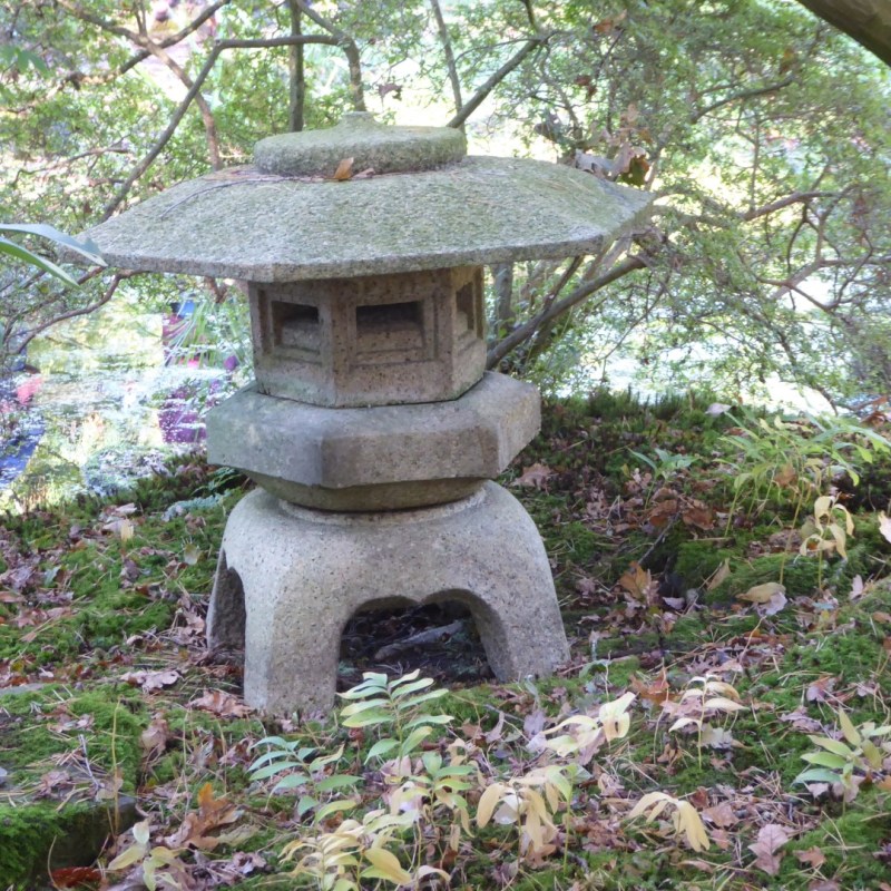 Japanse Tuin Clingendael in&nbsp;herfsttooi