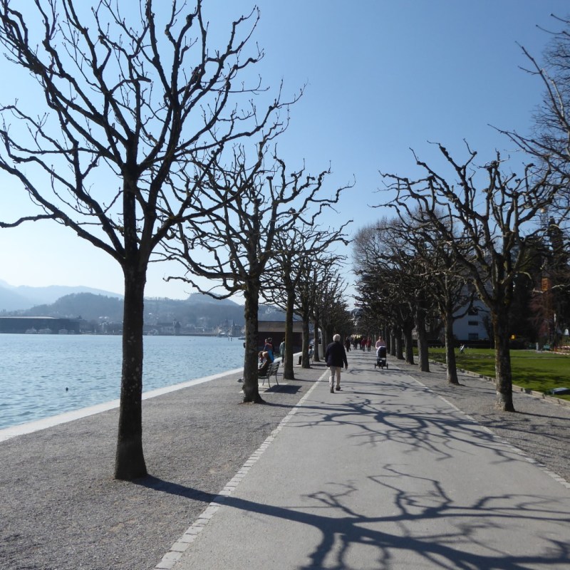 Flaneren langs het Vierwoudstedenmeer