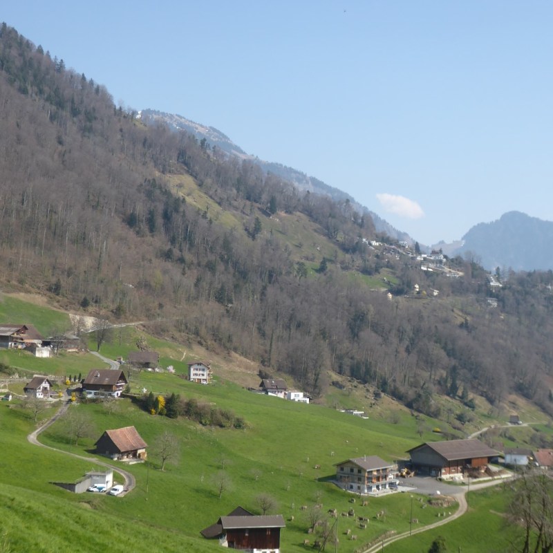 Wandelen rond Weggis