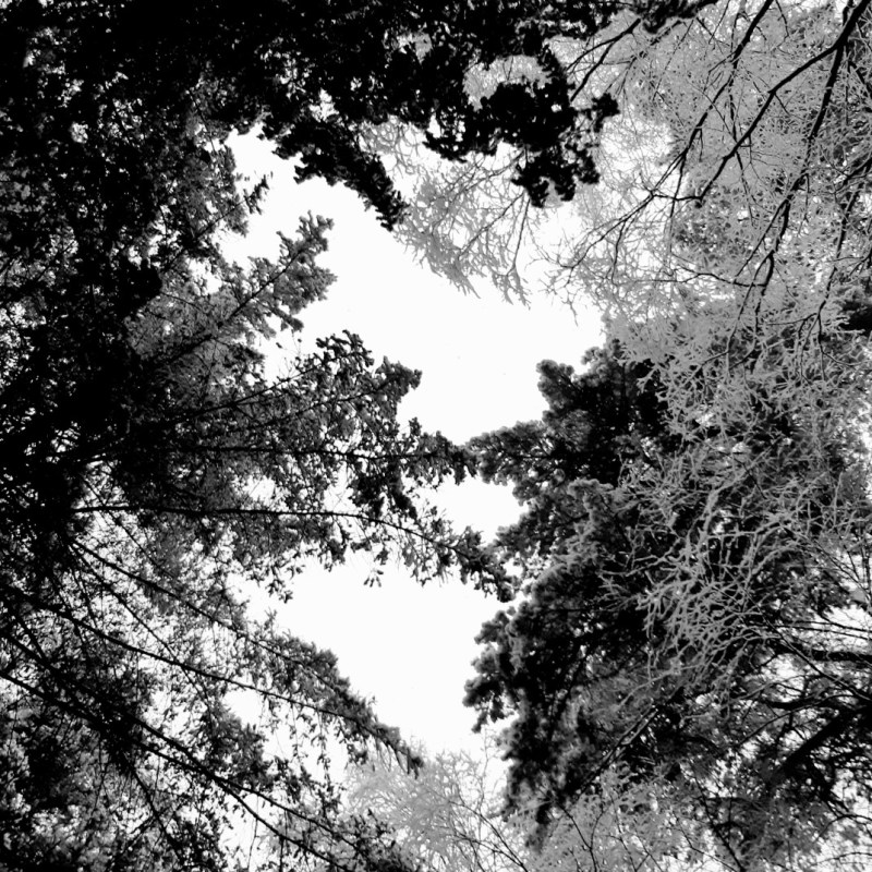 Sneeuw, Lage Vuursche