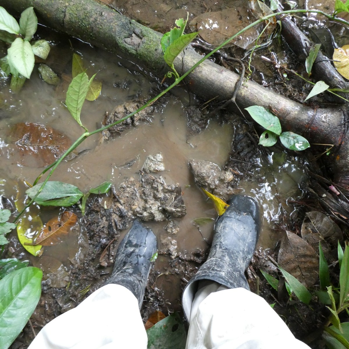 De noodzaak van&nbsp;rubberlaarzen