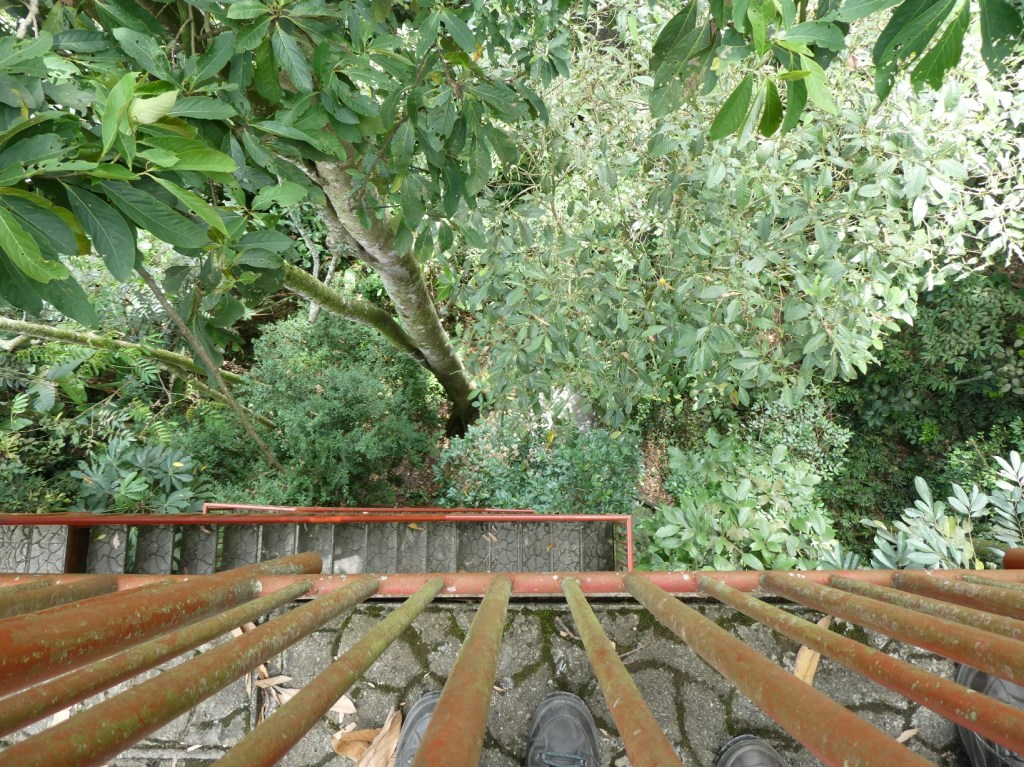 Quindio Botanische tuin,&nbsp;Armenia