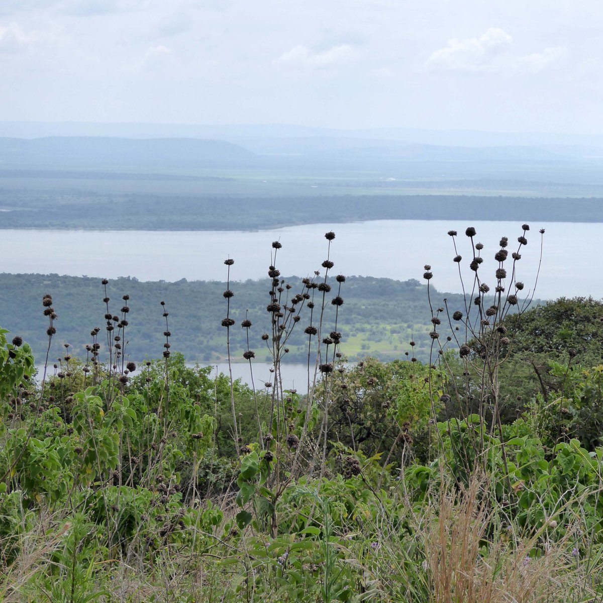 Akagera Nationaal Park