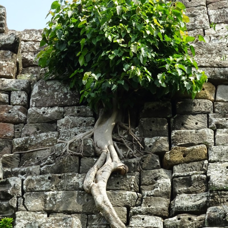 Banteay Torp, Banteay&nbsp;Meanchey