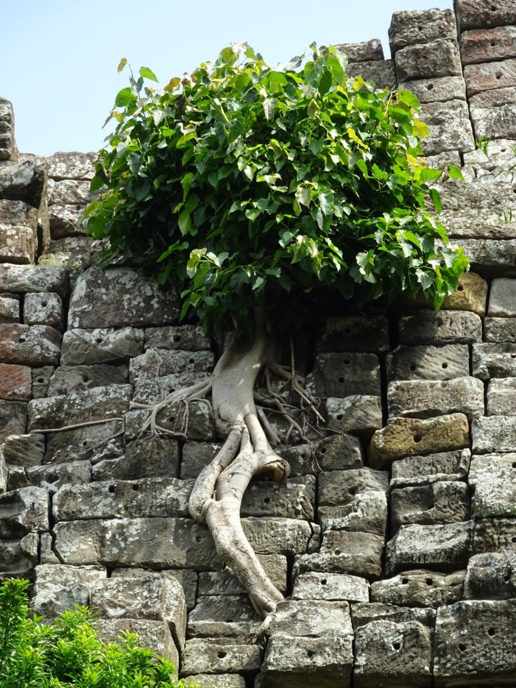 Banteay Torp, Banteay&nbsp;Meanchey