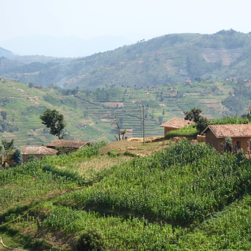 Land van duizend&nbsp;heuvels