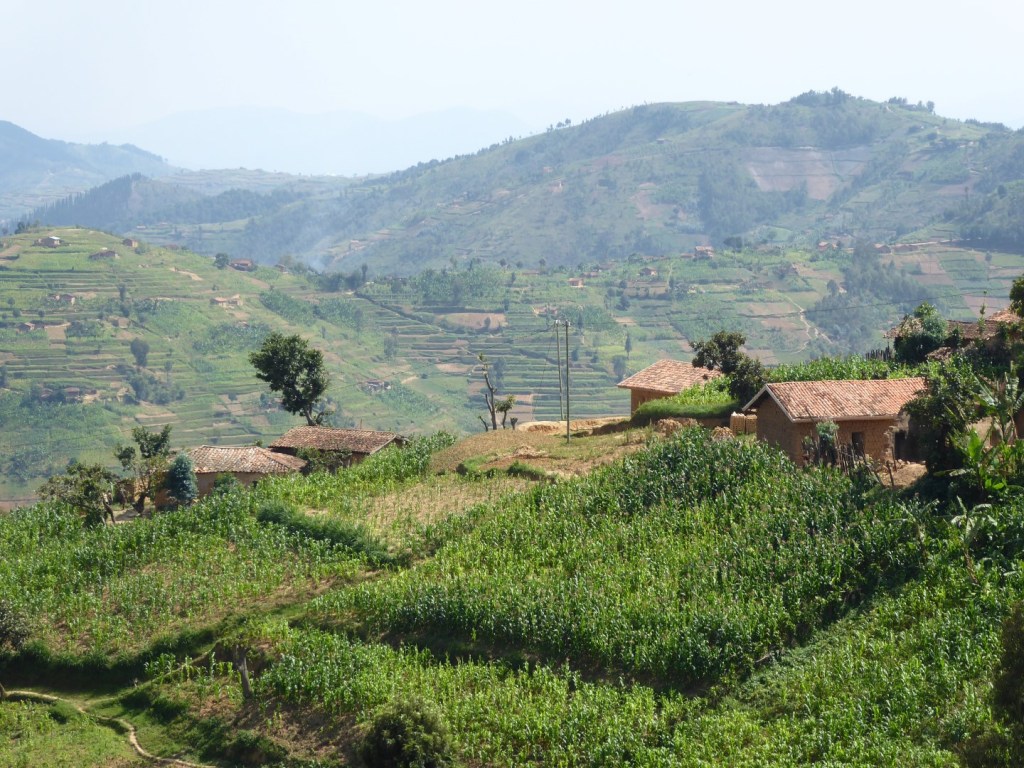 Land van duizend heuvels