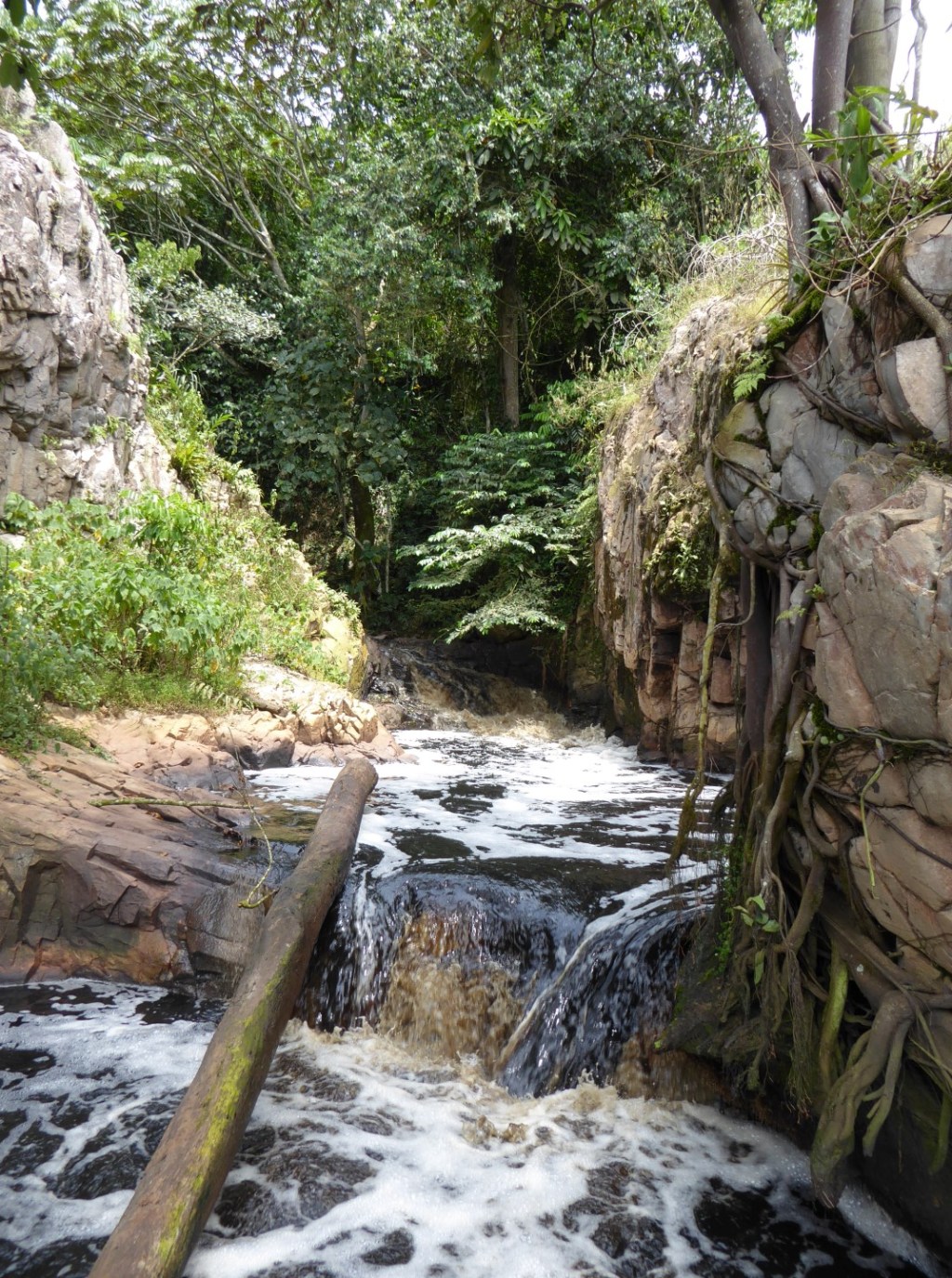 Griffin waterval, Mabira&nbsp;Forest