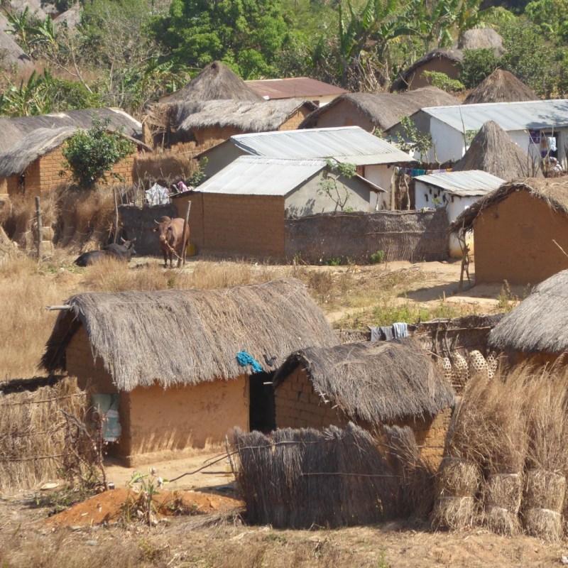Leven langs het&nbsp;spoor