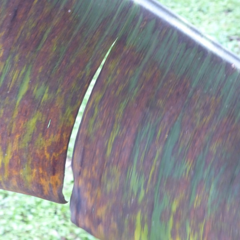 Een andere kijk op een&nbsp;bananenboom