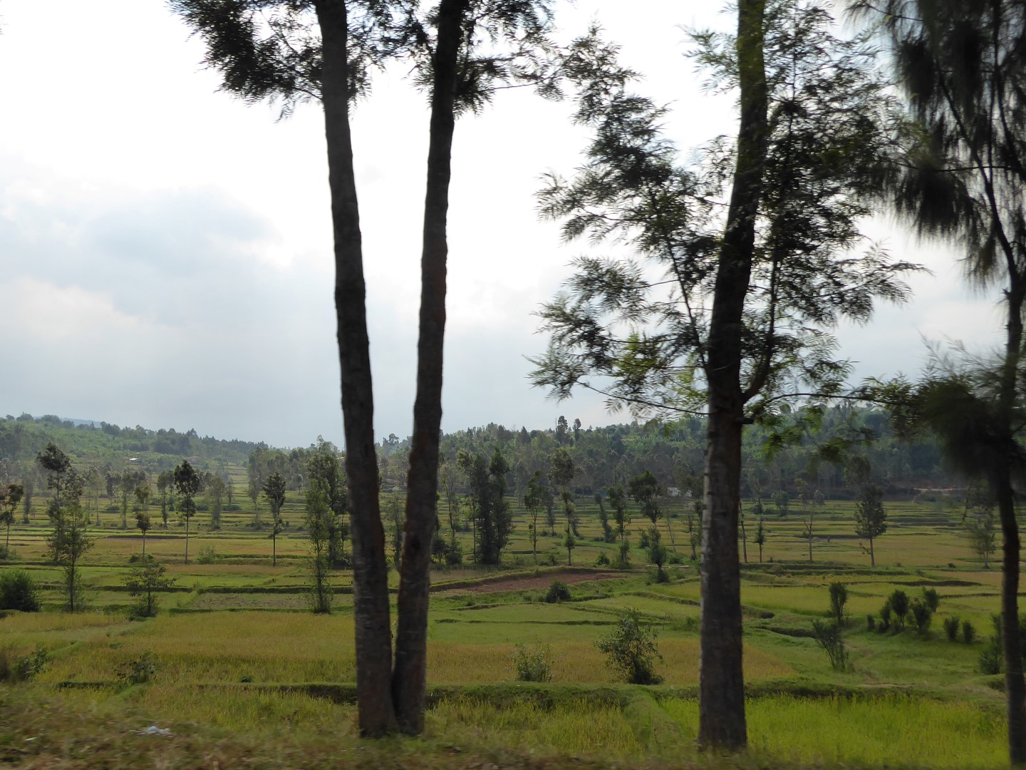 P1020708 bewerkt (Large)