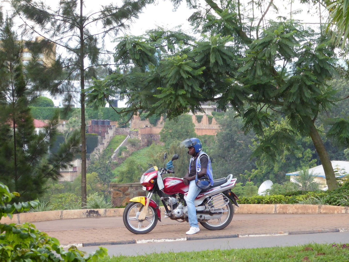 P1020140 bewerkt (Large)