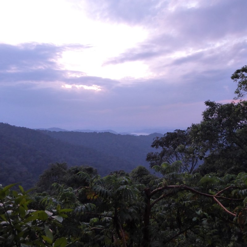 Uitzicht vanaf de camping,&nbsp;Nyungwe