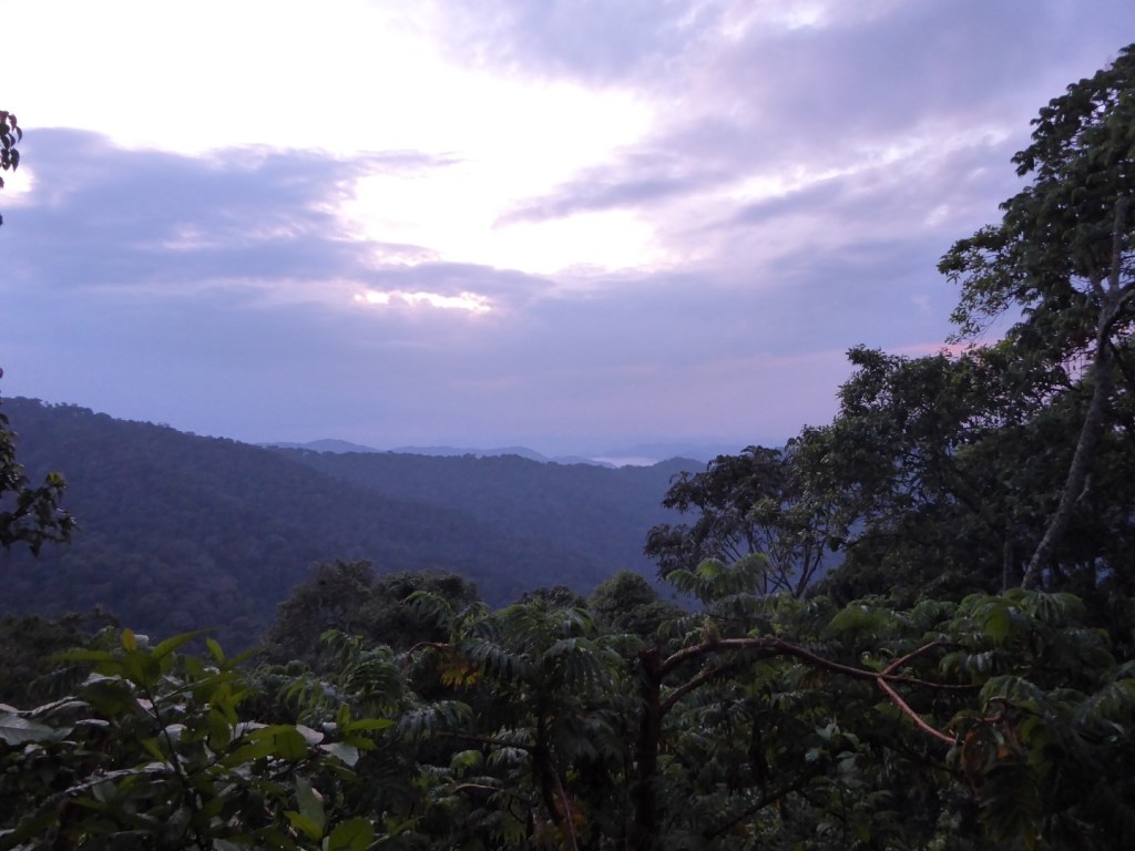 Uitzicht vanaf de camping, Nyungwe