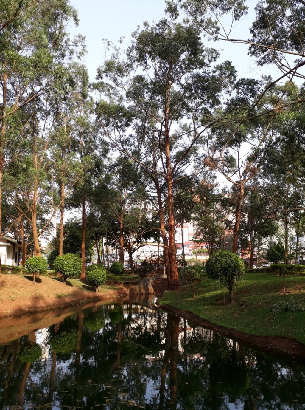 Sint Anastasiusbos, Yaoundé