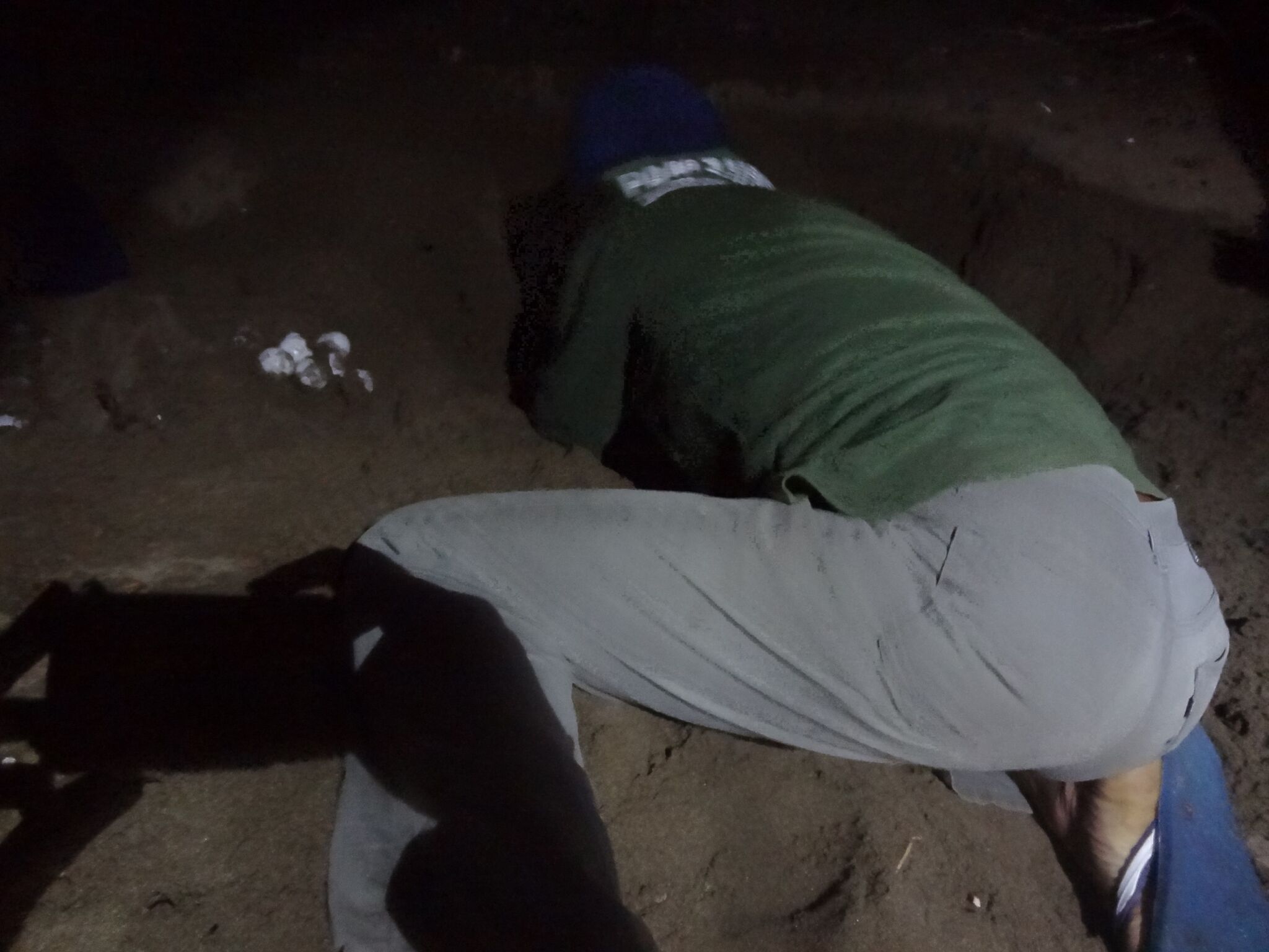 De ranger haalt de eieren uit het nest om ze te beschermen, de moeder heeft niets in de gaten