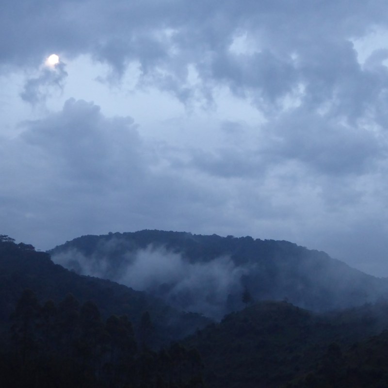 Mist tussen de heuvels,&nbsp;Bwindi