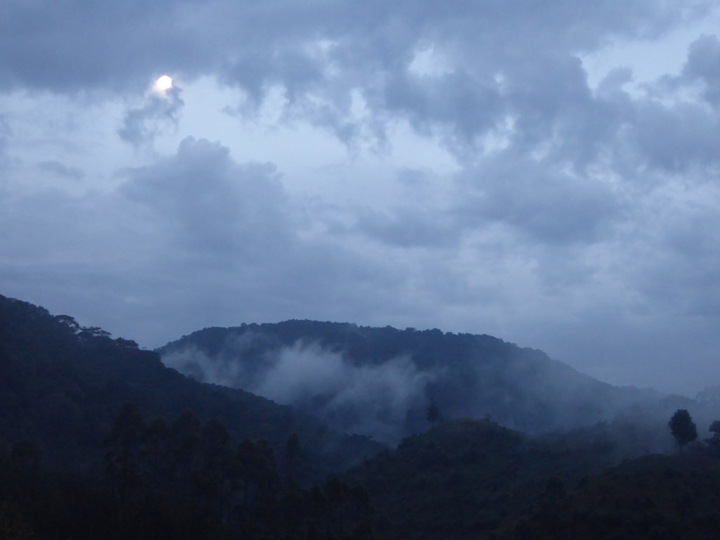 Mist tussen de heuvels,&nbsp;Bwindi