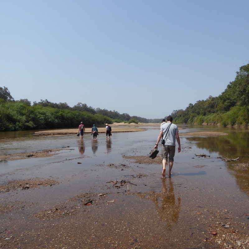 Benoue rivier, Benoue&nbsp;NP