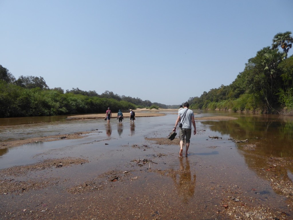 Benoue rivier, Benoue NP