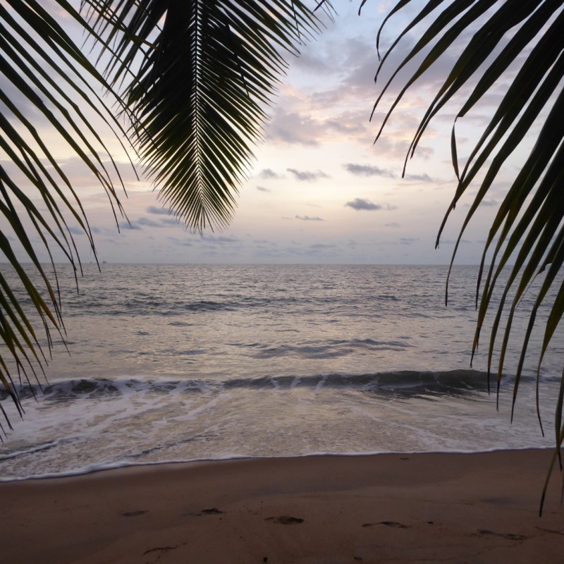 Kribi