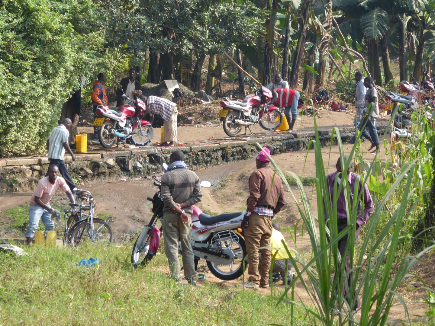 P1020662 bewerkt (Large)