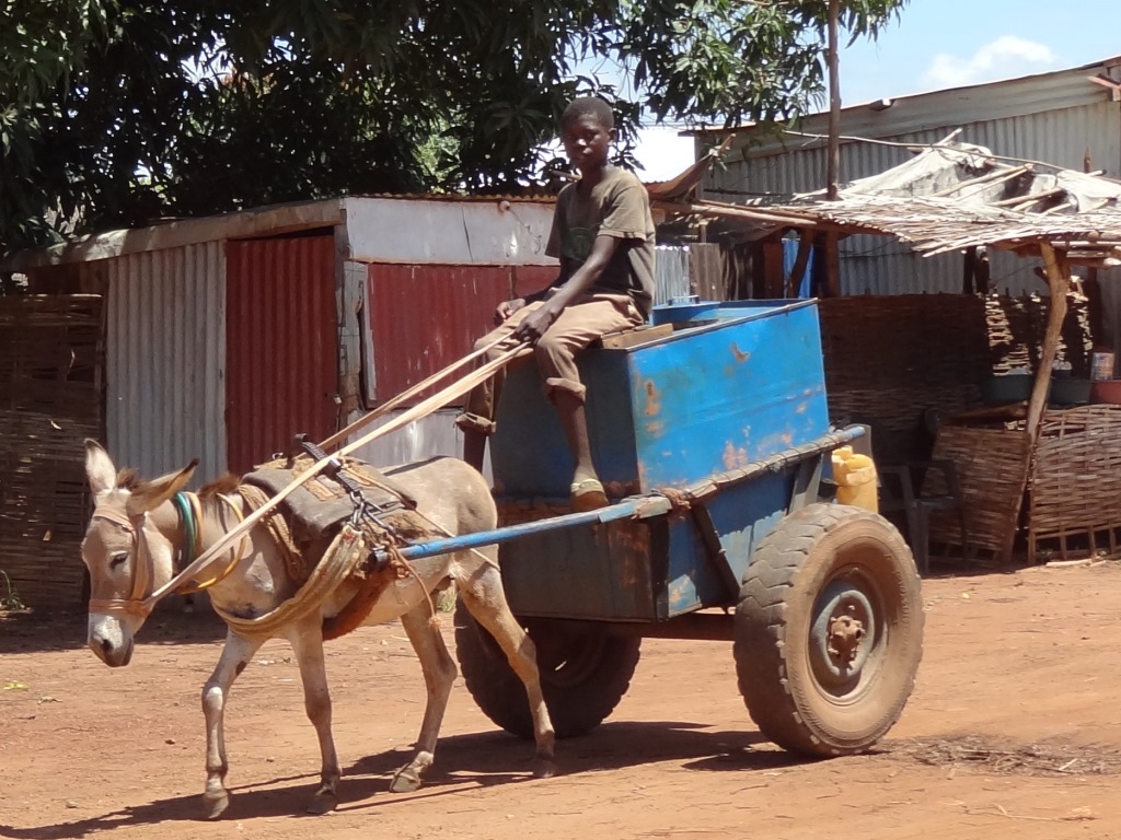 Ezeljongen met water
