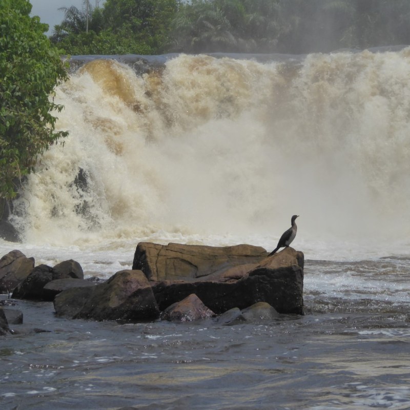Lobe watervallen, Kribi