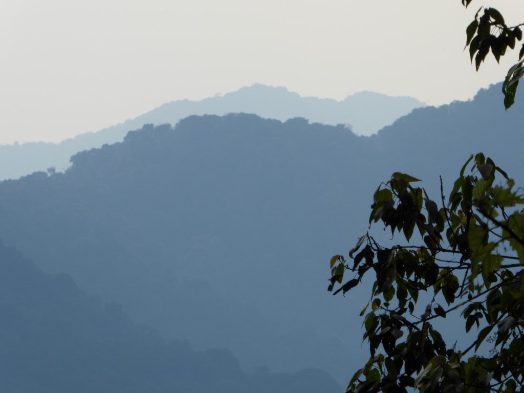 Nyungwe nationaal park