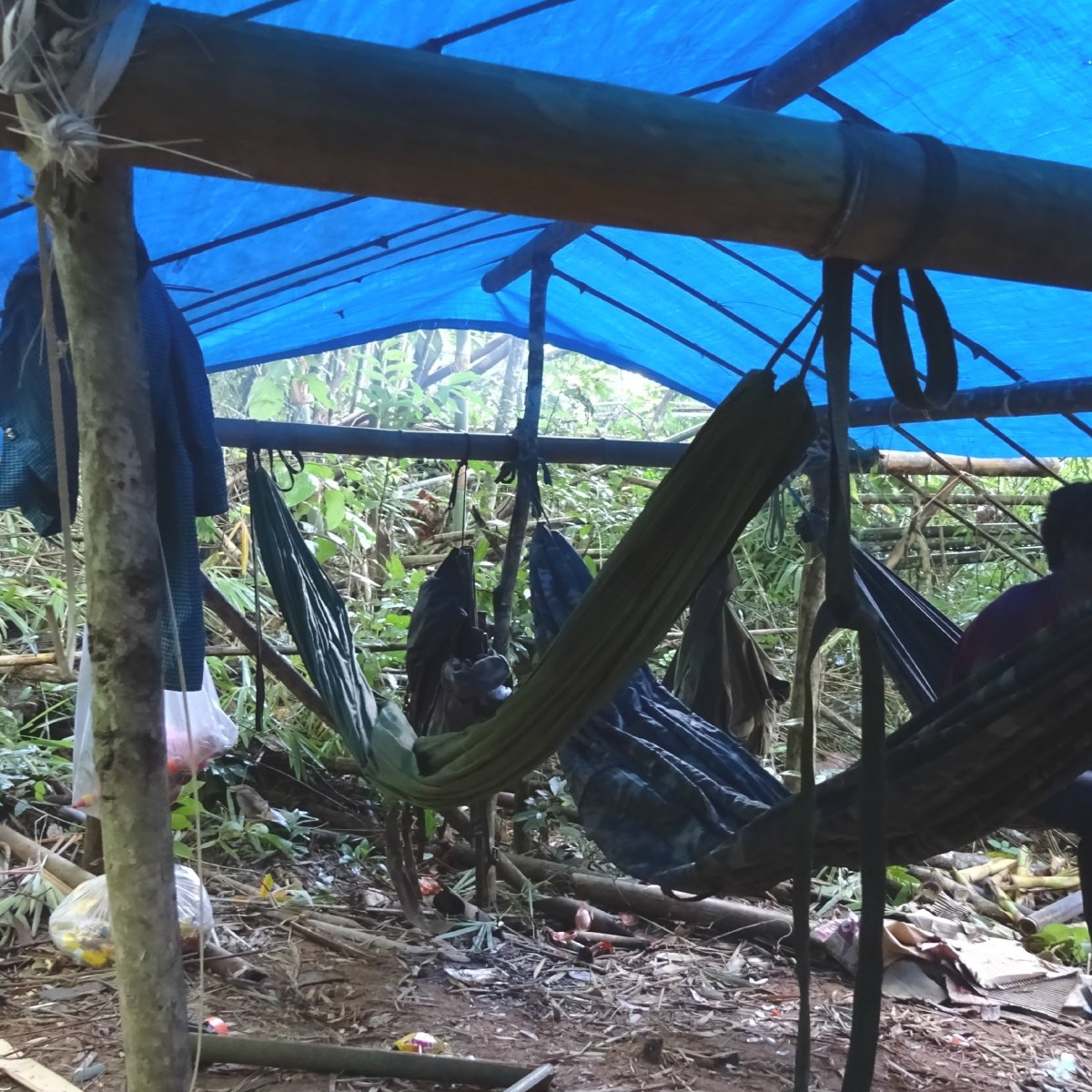 Trekken in de jungle, Virachey Nationaal park,&nbsp;Ratanakiri
