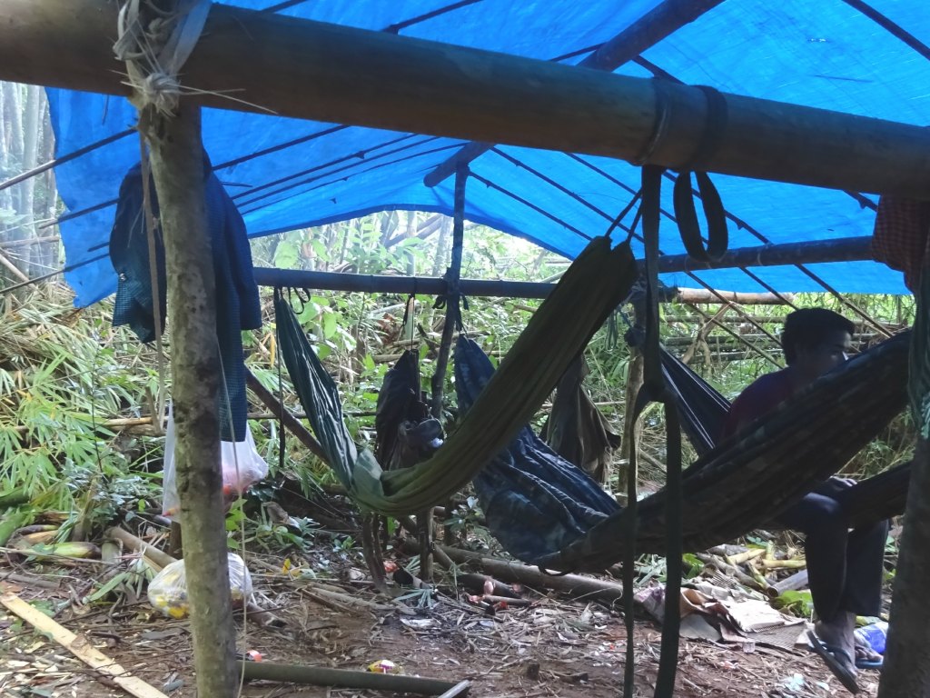 Trekken in de jungle, Virachey Nationaal park,&nbsp;Ratanakiri