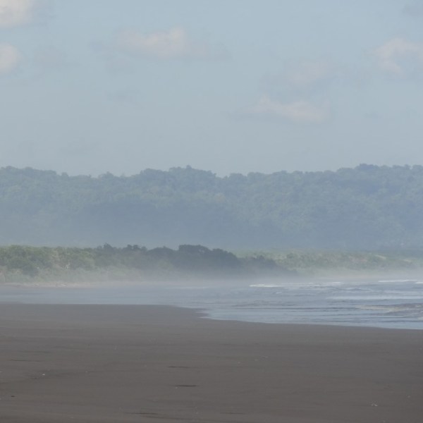 Strand, Alas Purwo National&nbsp;Park