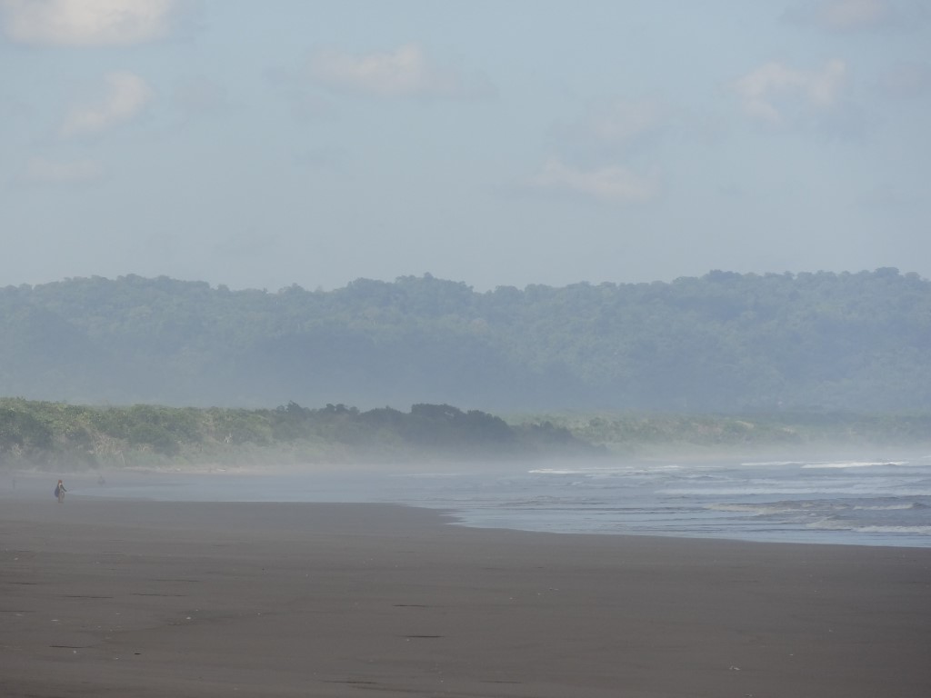 Strand, Alas Purwo National&nbsp;Park