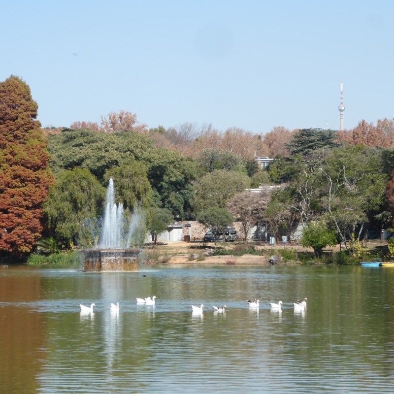 Stadspark naast de dierentuin,&nbsp;Johannesburg