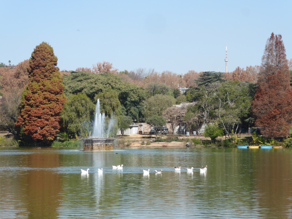 Stadspark naast de dierentuin, Johannesburg
