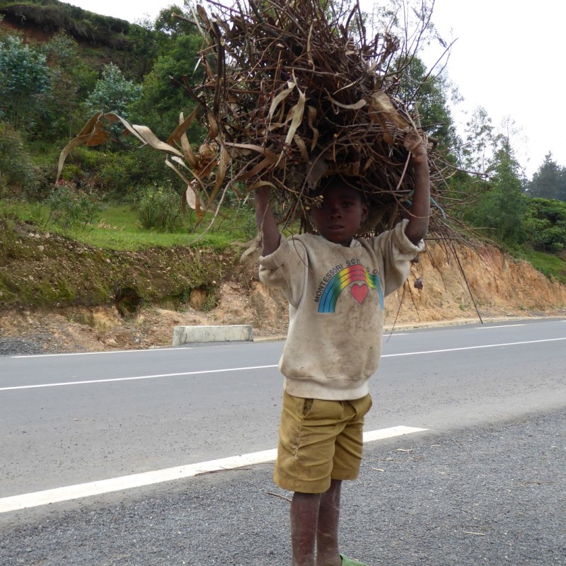 Brandhout verzamelen