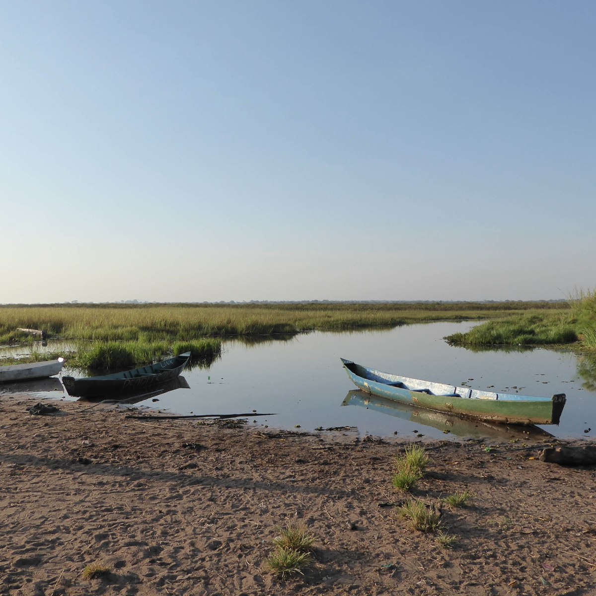 Moeras in de vroege morgen,&nbsp;Ziwa