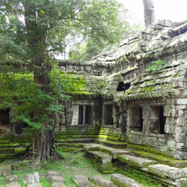 Natuur van Angkor