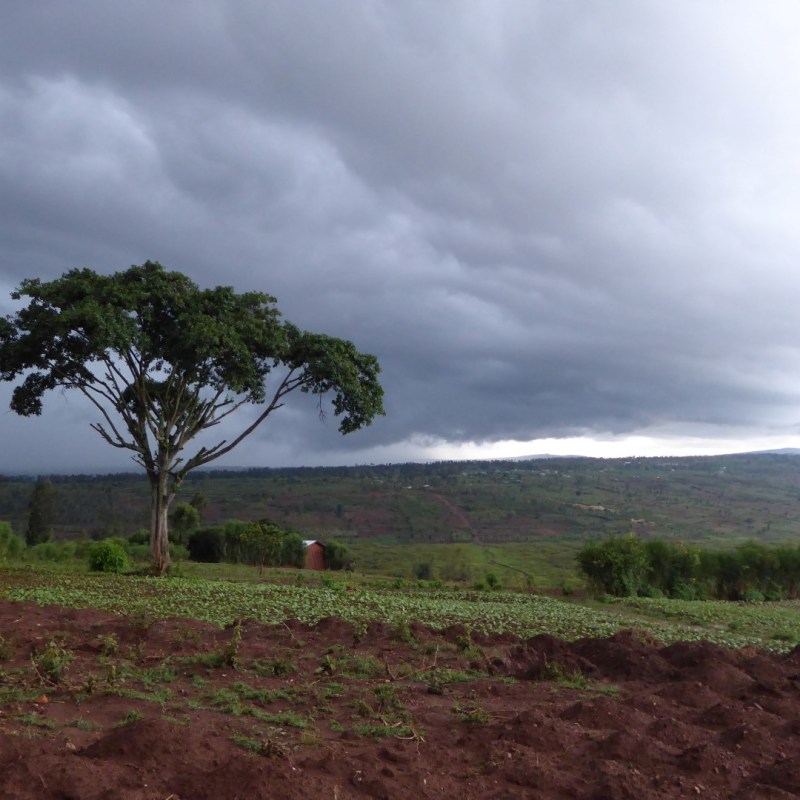 Platteland in Bugusera