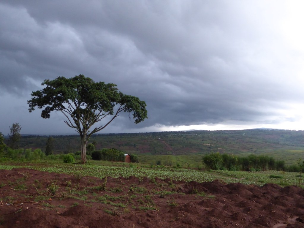 Platteland in Bugusera