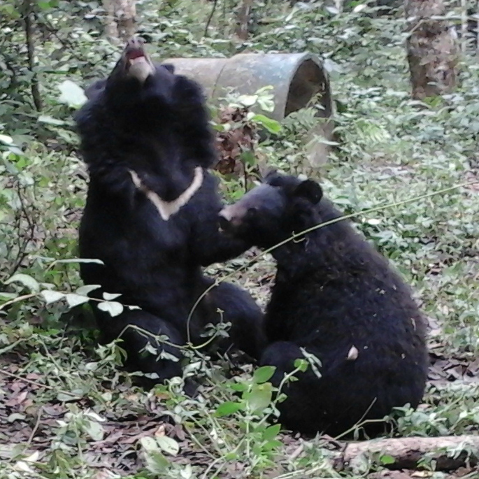 20151208_101618 large