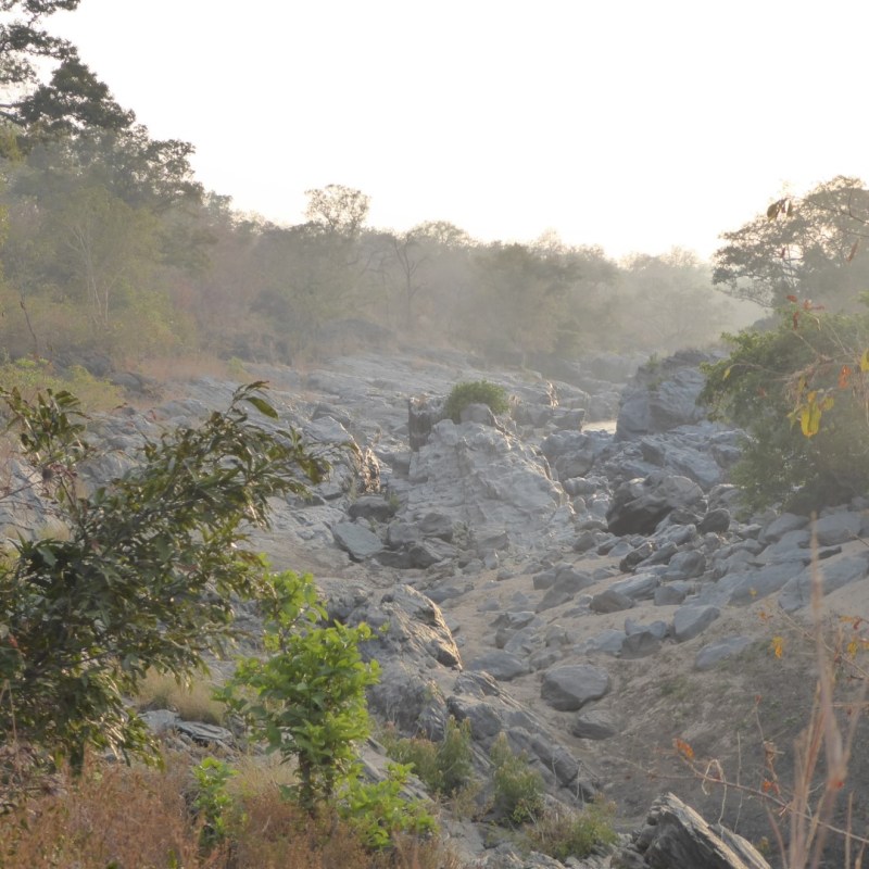 Benoue Nationaal Park