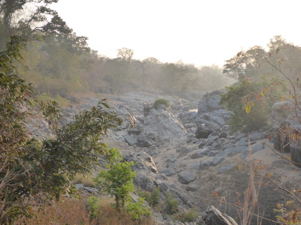 Benoue Nationaal Park