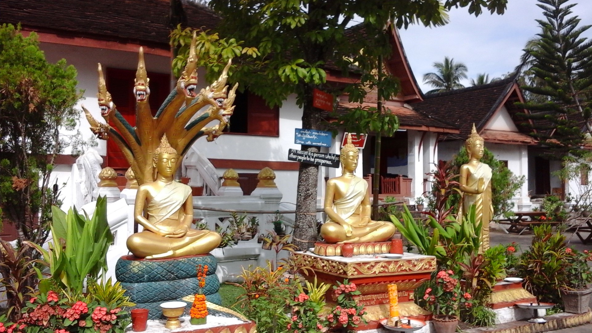 20151207_105841 (Large)